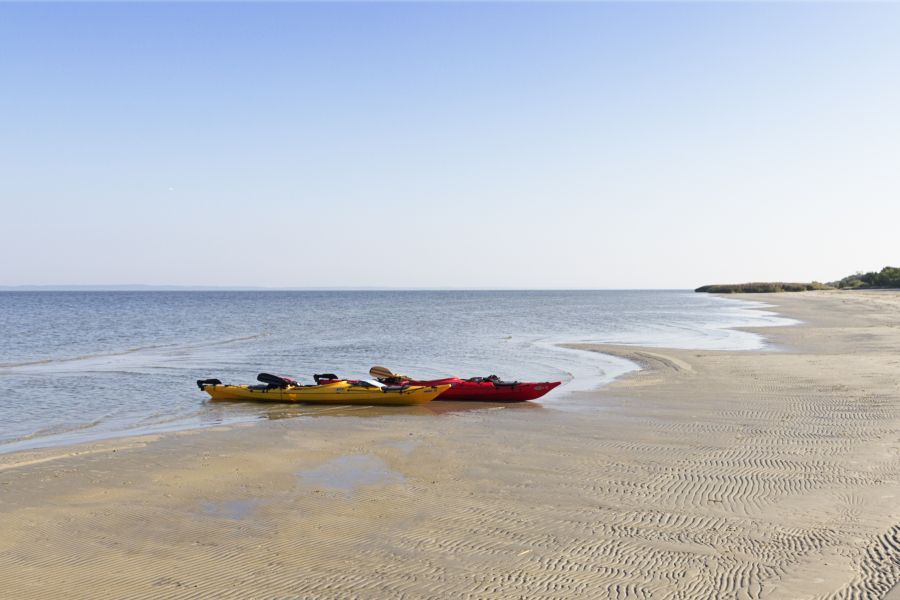 Nie tylko trzciny - plaża na Zalewie Wiślanym
