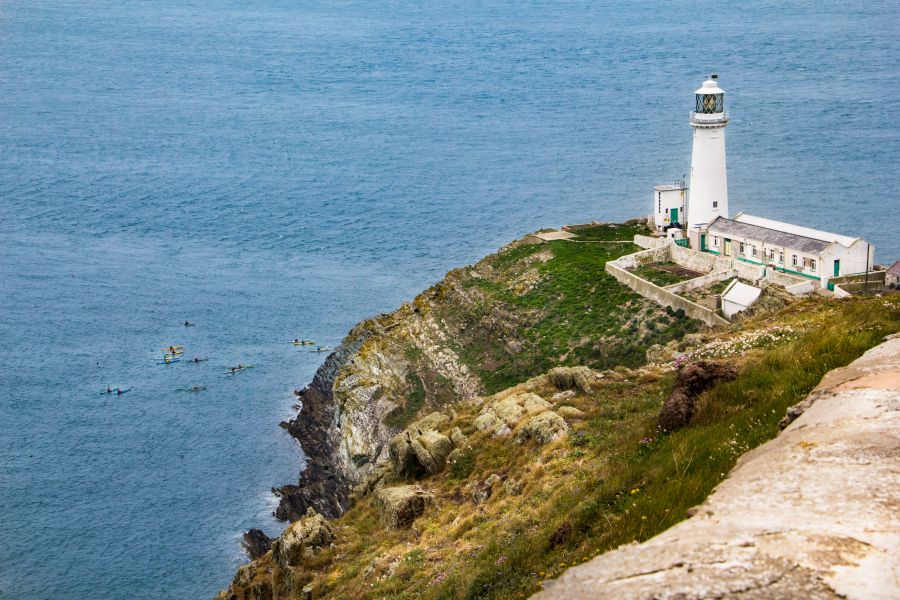 Walia, South Stack
