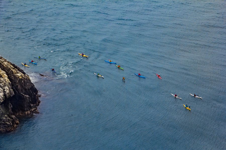 Walia, South Stack
