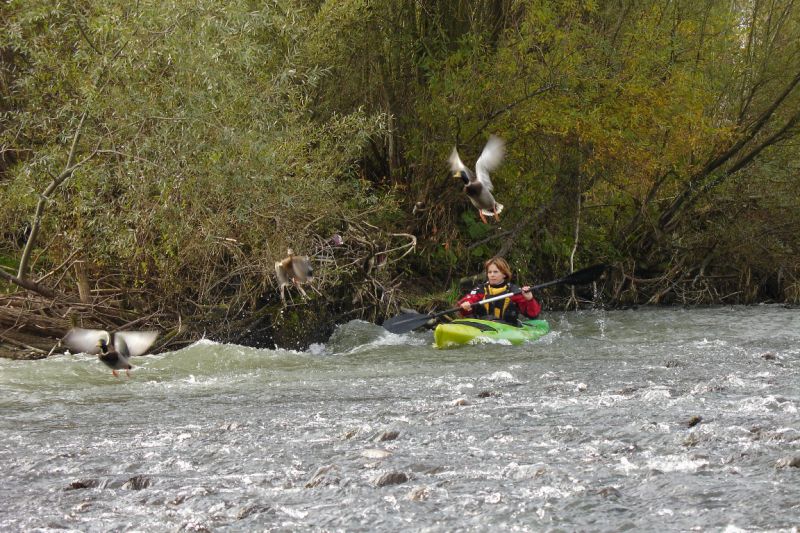 Dunajec 2010

pkt:12
Radosław Sudołowicz
