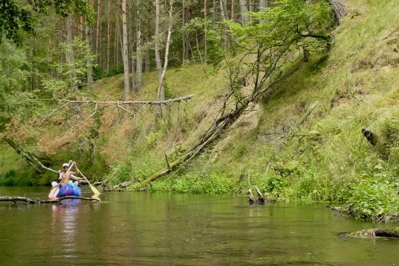 W zielonym wąwozie
rzeka Piława
pkt:12
Rafał Doniec
