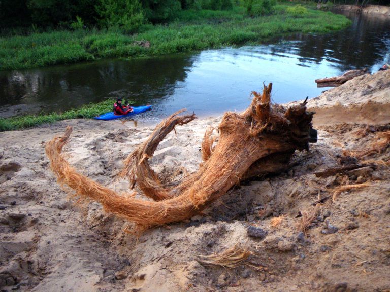 Mamut
Rzeka Luciąża przed zalewem Sulejowskim
pkt:17
Marcin Suszka
Słowa kluczowe: Luciąża, mamut