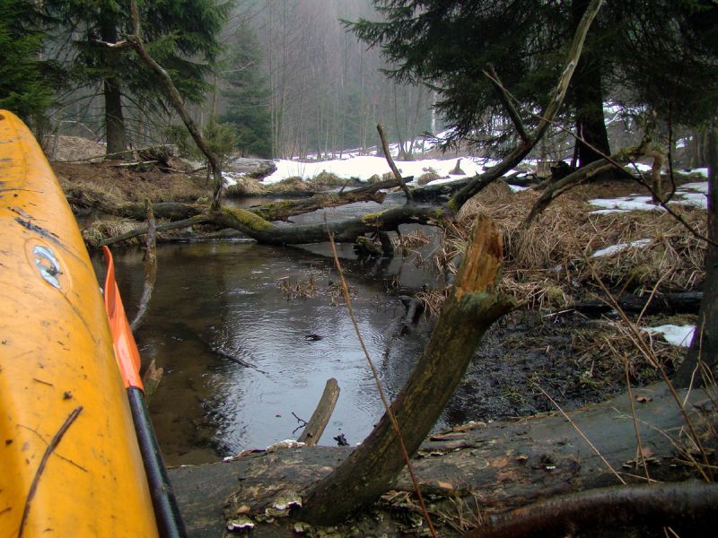 widok ze zwałki
marzec 2010
pkt:16
kolchea
