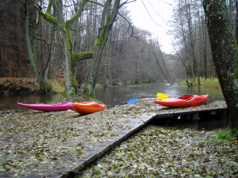 Drawa jesienią
Bogdanka opustoszały biwak nad Drawą
pkt:15
krakers
