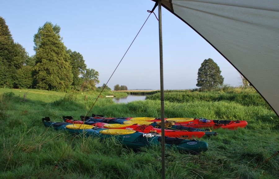 Poranek nad Narwią
Polska - Podlasie, Narew
sierpień
