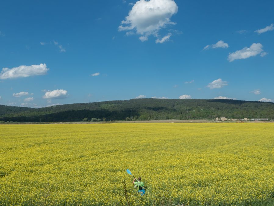 żółta rzeka
