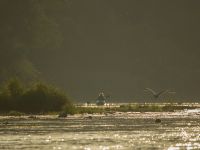 P1010155-2.jpg