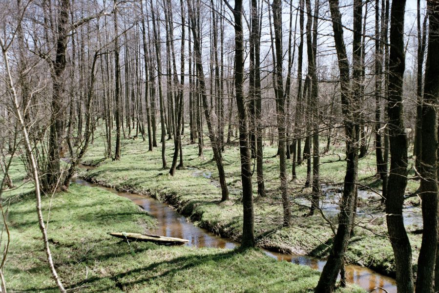 Wiosenny spływ
Adam Wiśniowski

