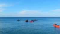DSC_0598.jpg