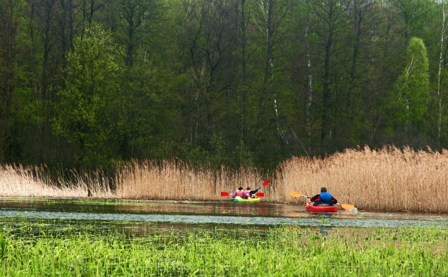 Majówka na Polesiu  
Jerzy Jan Czopek
  Powitanie Bobrów
