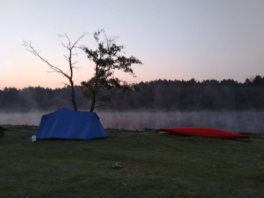 Poranek nad Narwią
