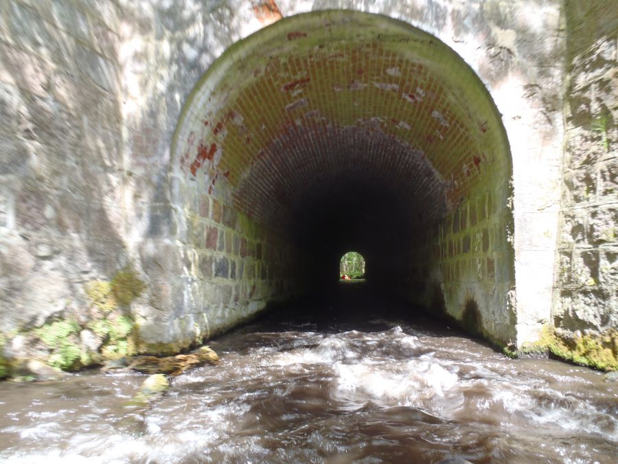 Tunel z niespodzianką
Monika Ukleja

