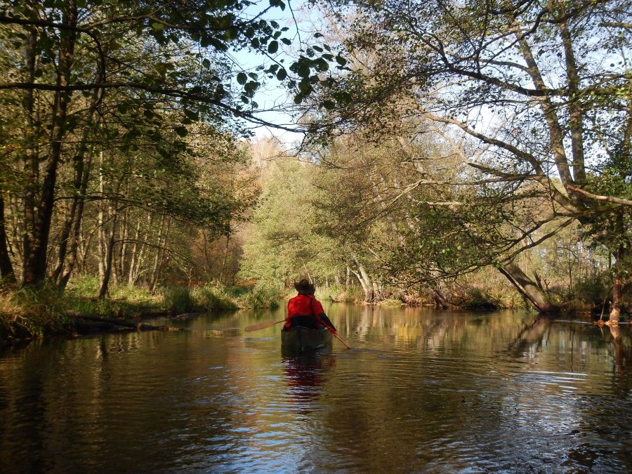 Cicha jesień na Welu
Weekendowy spływ kanuistów  w Kurojadach rzeką Wel
Słowa kluczowe: rzeka, kanu, canoe, jesień