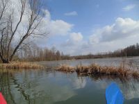 DSC03249.JPG