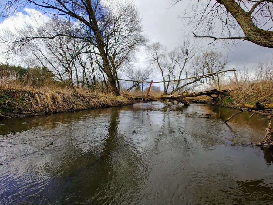 kwietniowa Jeziorka
rzeka Jeziorka pomiędzy Lesznowolą a Gośieńczycami 
Słowa kluczowe: przygoda spływy relaks natura krajobraz kajakowanie rzeka kajak kajaki