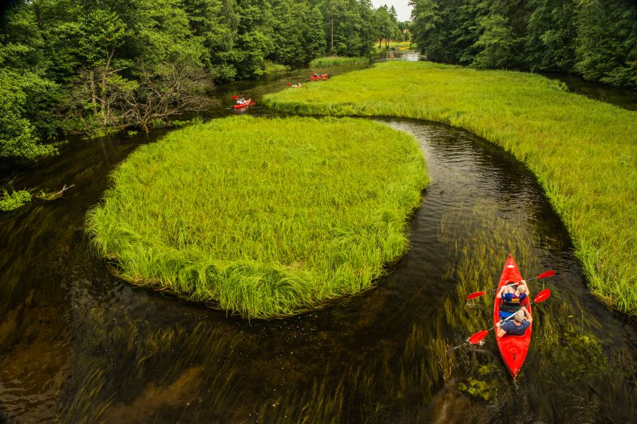 Meandry Czarnej Hańczy
Czarna Hańcza w okolicach miejscowości Tartaczysko .
