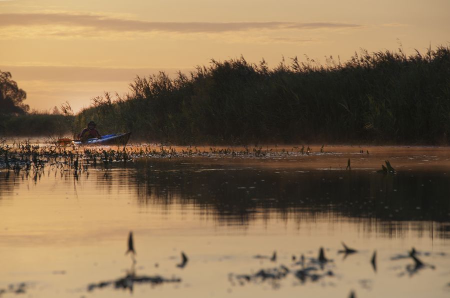 Biebrzą o świcie
Spływ rozpoczęty nocą, koło godziny 3. Kontynuowany o świcie zaowocował klimatycznymi fotografiami.
Słowa kluczowe: spływ kajak Biebrza rzeka świt woda