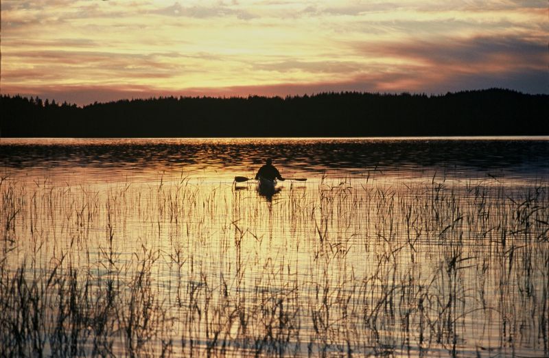 Finlandia, Kolovesi
fot. Maciej Soczewka

