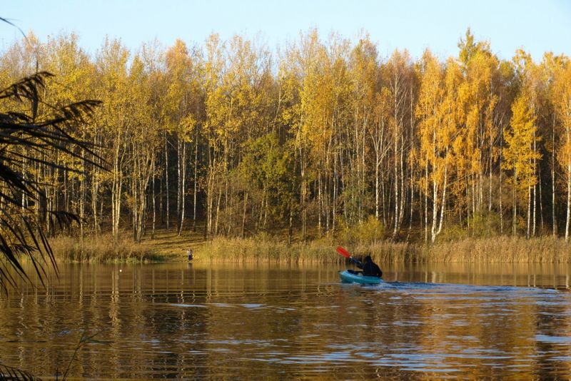 Złota polska jesień
potok Jaworznik_okol. Rogoźnika_10.2009
